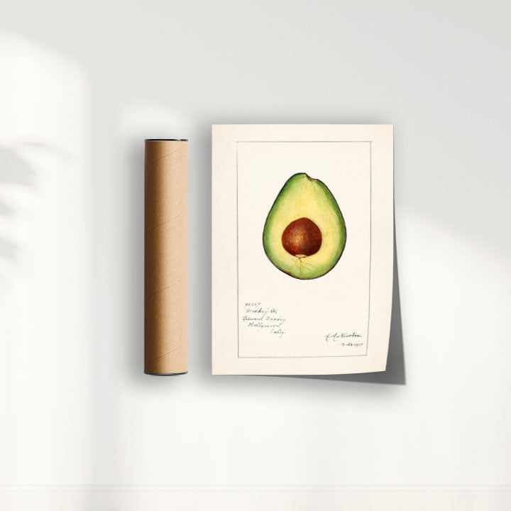 Quadro Avocado Vintage