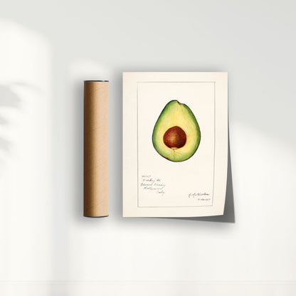 Quadro Avocado Vintage