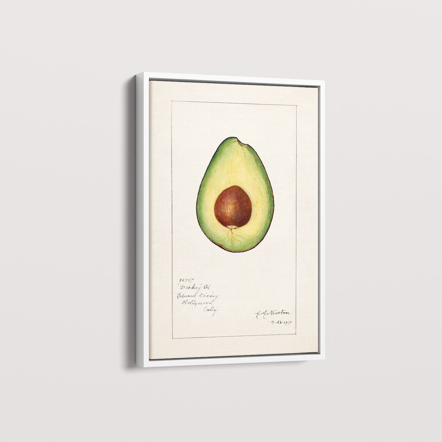 Quadro Avocado Vintage