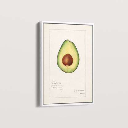 Quadro Avocado Vintage