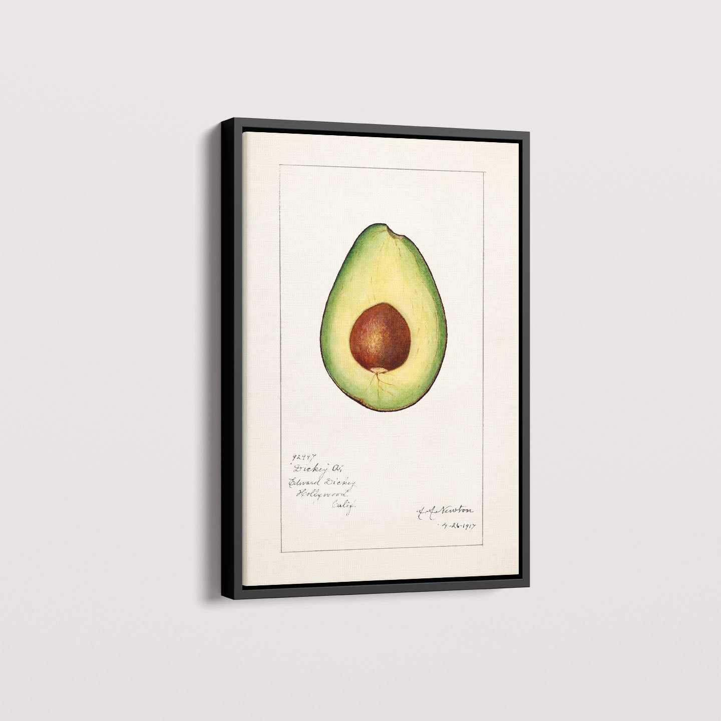 Quadro Avocado Vintage