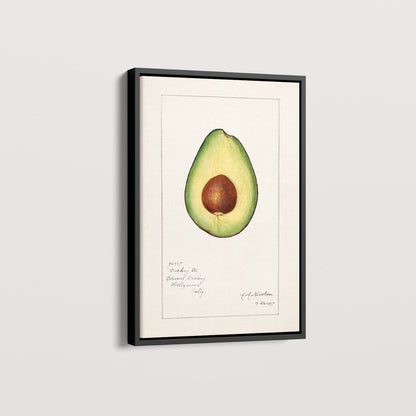 Quadro Avocado Vintage