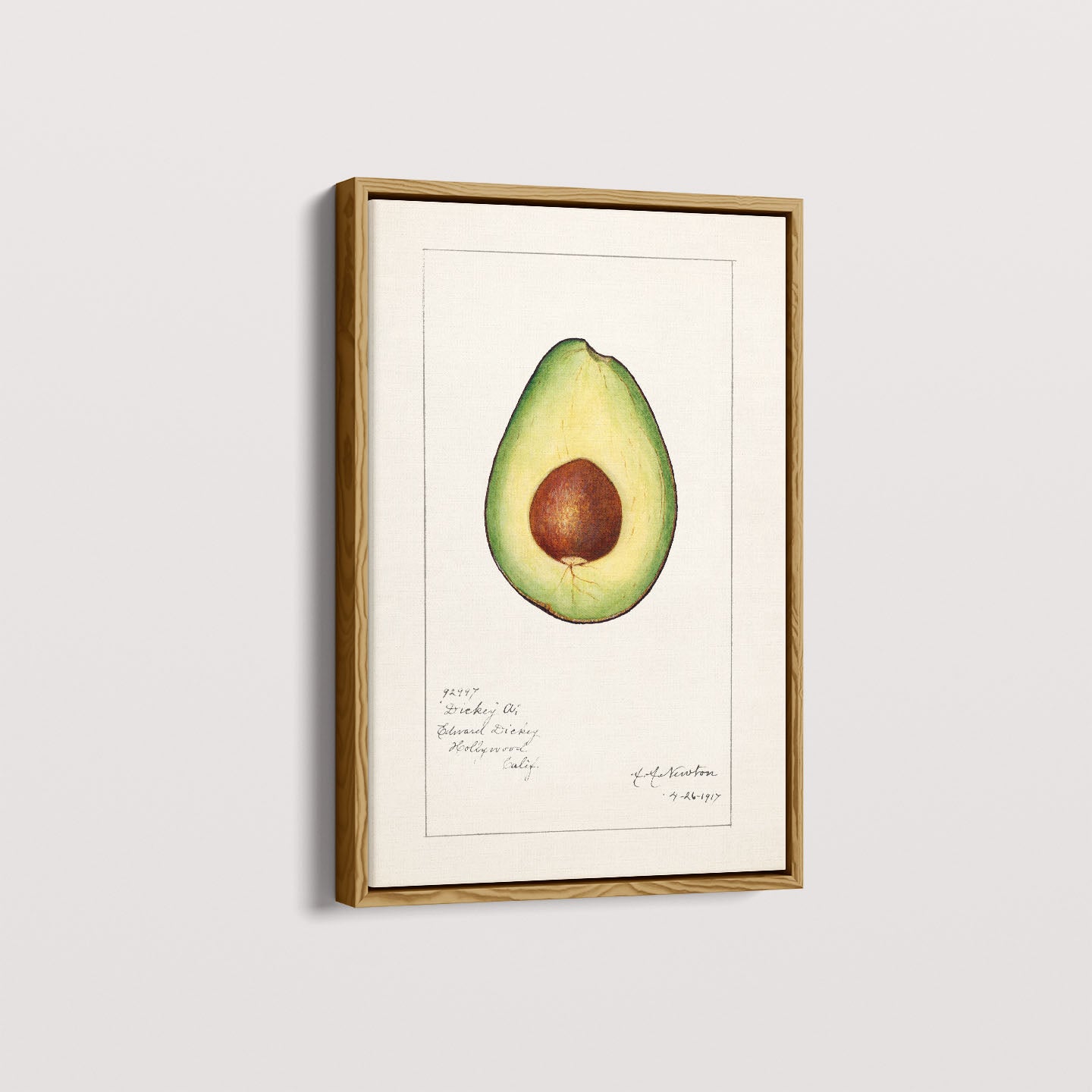 Quadro Avocado Vintage