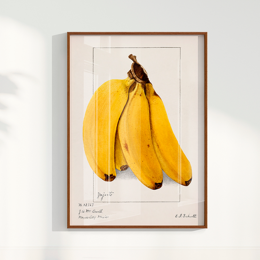 Quadro Banana Vintage