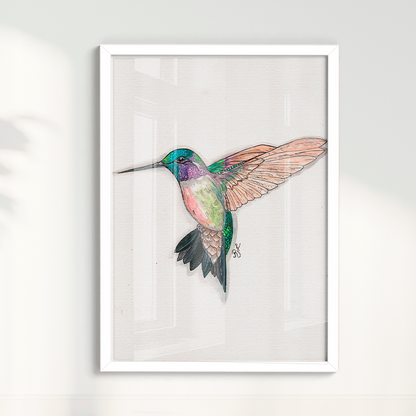 Quadro Beija Flor Aquarelando 26 por Rayana Karoline