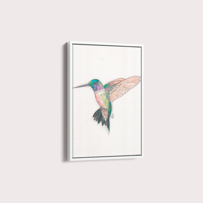 Quadro Beija Flor Aquarelando 26 por Rayana Karoline