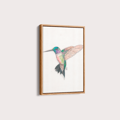 Quadro Beija Flor Aquarelando 26 por Rayana Karoline