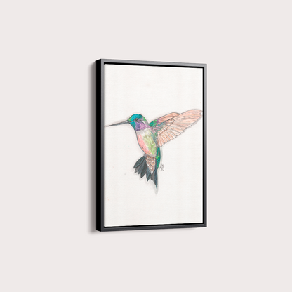 Quadro Beija Flor Aquarelando 26 por Rayana Karoline