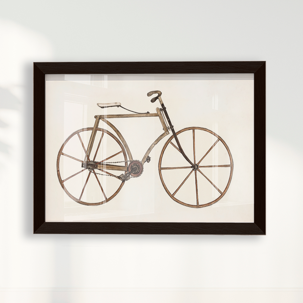 Bicicleta Vintage
