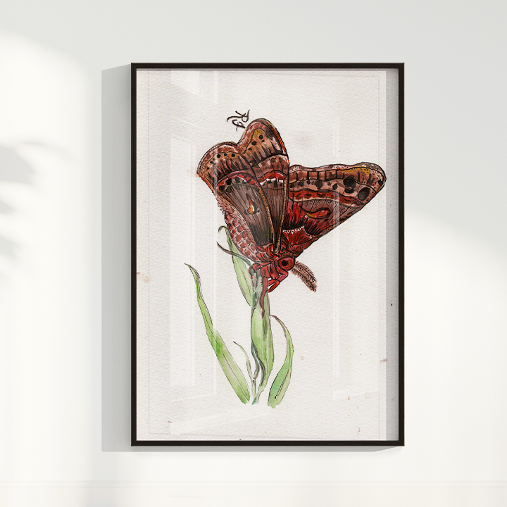 Quadro Borboleta II por aquarelando
