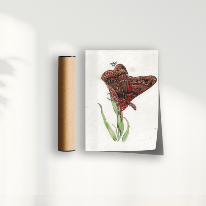 Quadro Borboleta II por aquarelando