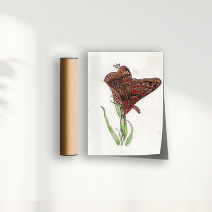 Quadro Borboleta II por aquarelando