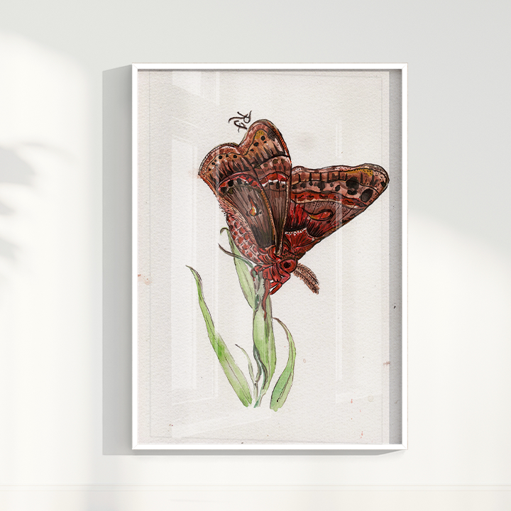 Quadro Borboleta II por aquarelando