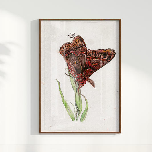 Quadro Borboleta II por aquarelando