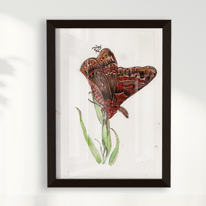 Quadro Borboleta II por aquarelando