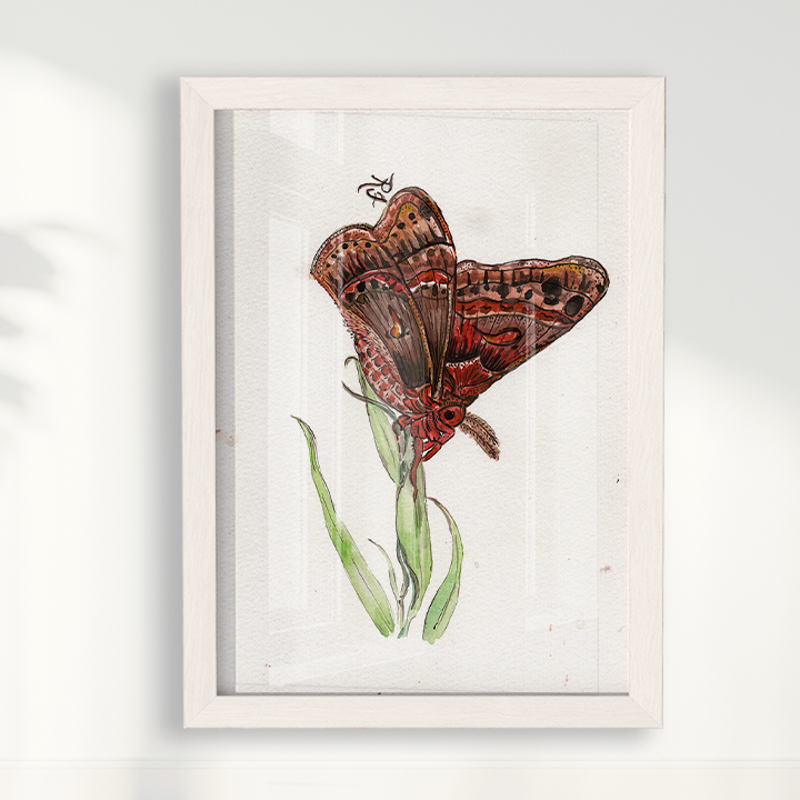 Quadro Borboleta II por aquarelando