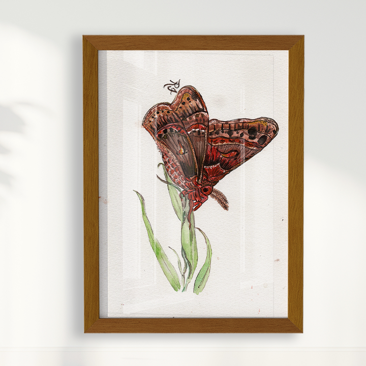 Quadro Borboleta II por aquarelando