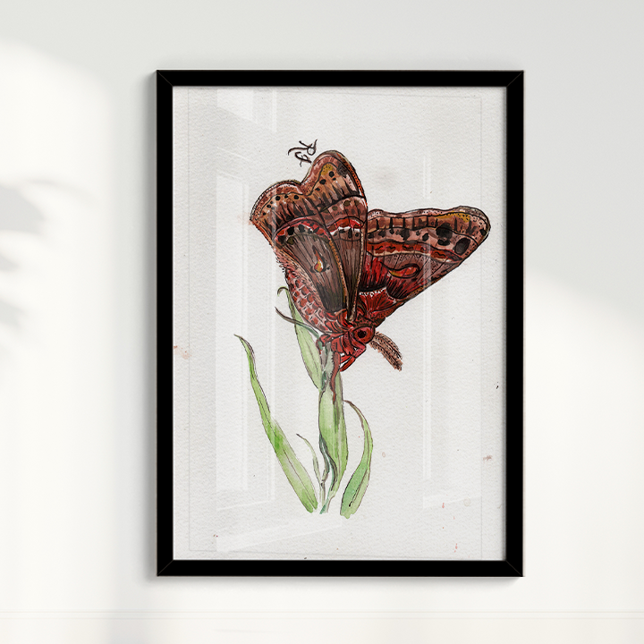Quadro Borboleta II por aquarelando