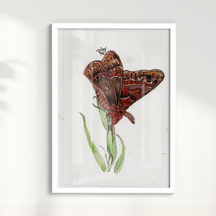 Quadro Borboleta II por aquarelando