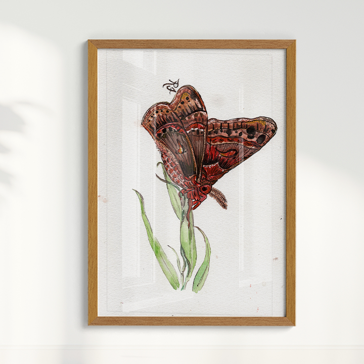 Quadro Borboleta II por aquarelando