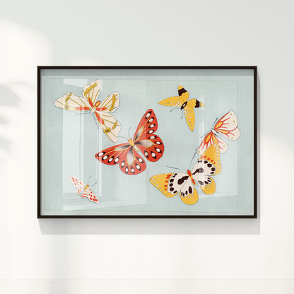 Japanese butterfly