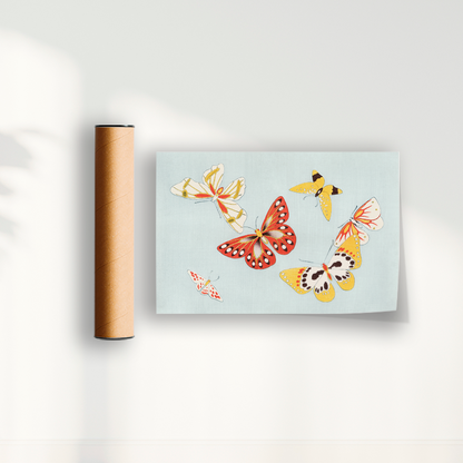 Japanese butterfly