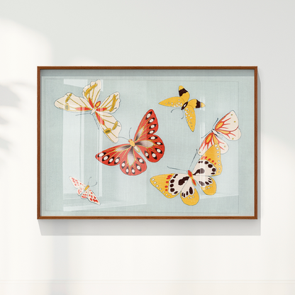 Japanese butterfly