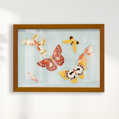 Japanese butterfly