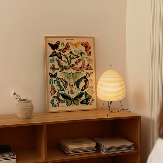 Quadro Vintage Papillons tamanho A2 - Pronta Entrega