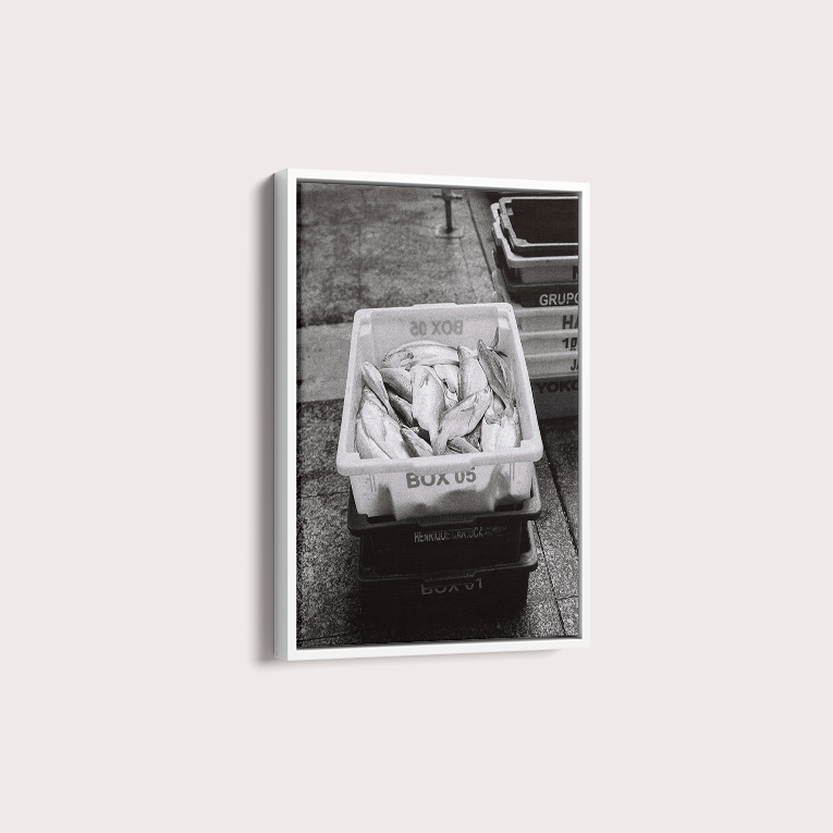 Quadro Box 05 por Angus Waddacor-McConill