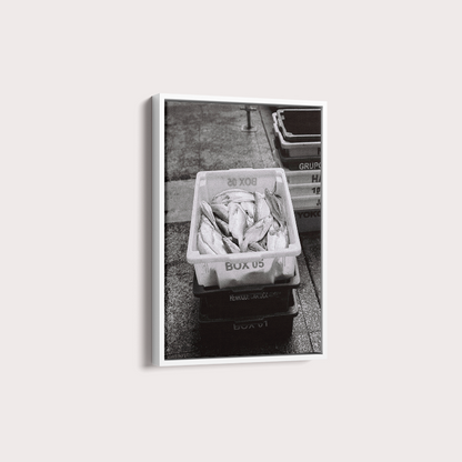 Quadro Box 05 por Angus Waddacor-McConill