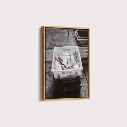 Quadro Box 05 por Angus Waddacor-McConill