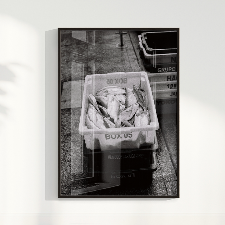 Quadro Box 05 por Angus Waddacor-McConill