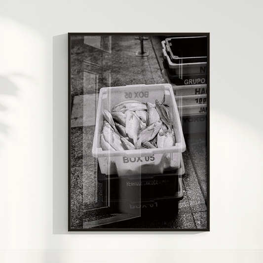 Quadro Box 05 por Angus Waddacor-McConill