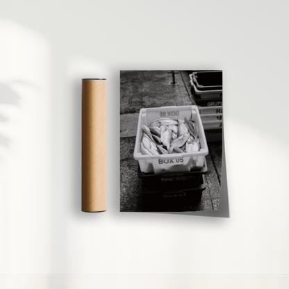 Quadro Box 05 por Angus Waddacor-McConill