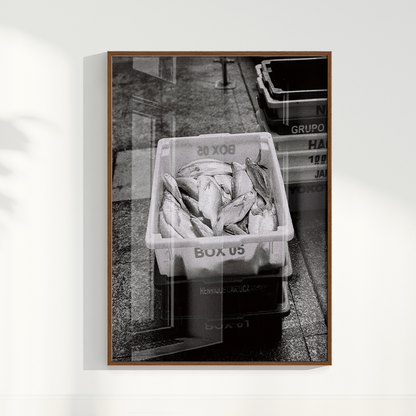 Quadro Box 05 por Angus Waddacor-McConill