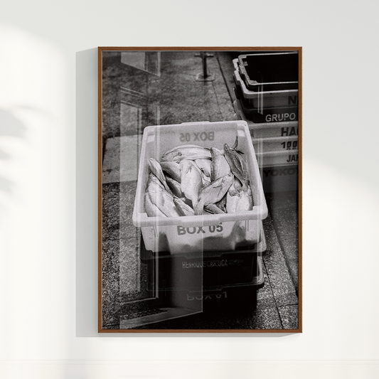 Quadro Box 05 por Angus Waddacor-McConill