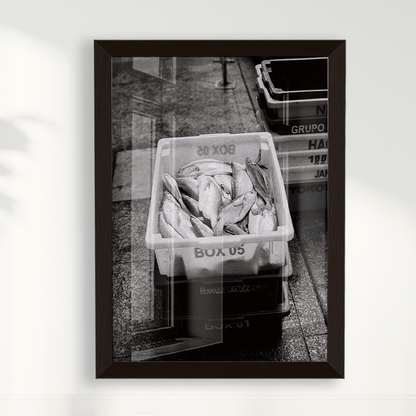 Quadro Box 05 por Angus Waddacor-McConill
