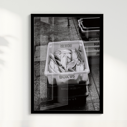Quadro Box 05 por Angus Waddacor-McConill