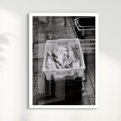 Quadro Box 05 por Angus Waddacor-McConill