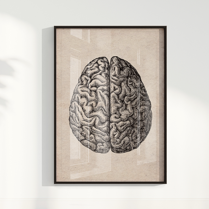 Brain Vintage