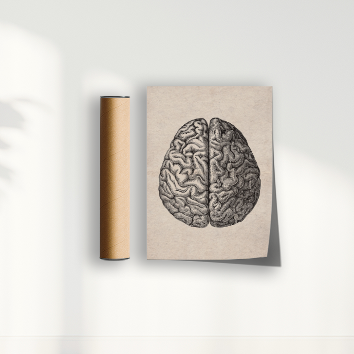 Brain Vintage