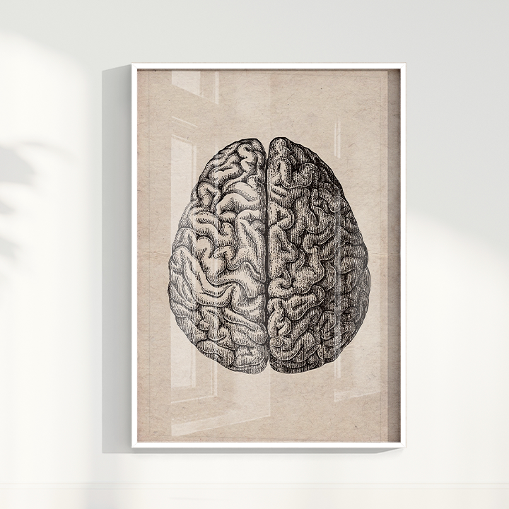 Brain Vintage