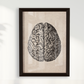 Brain Vintage