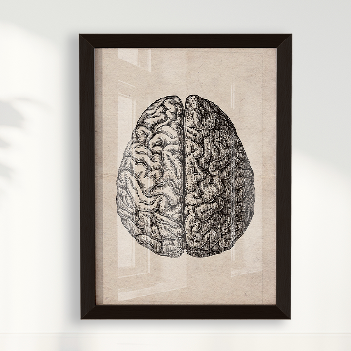 Brain Vintage