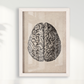 Brain Vintage