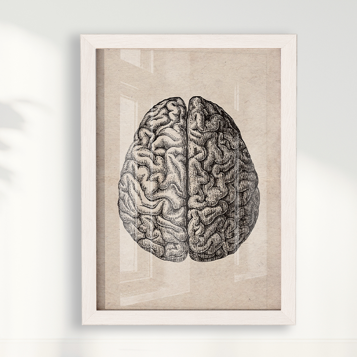 Brain Vintage