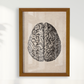 Brain Vintage