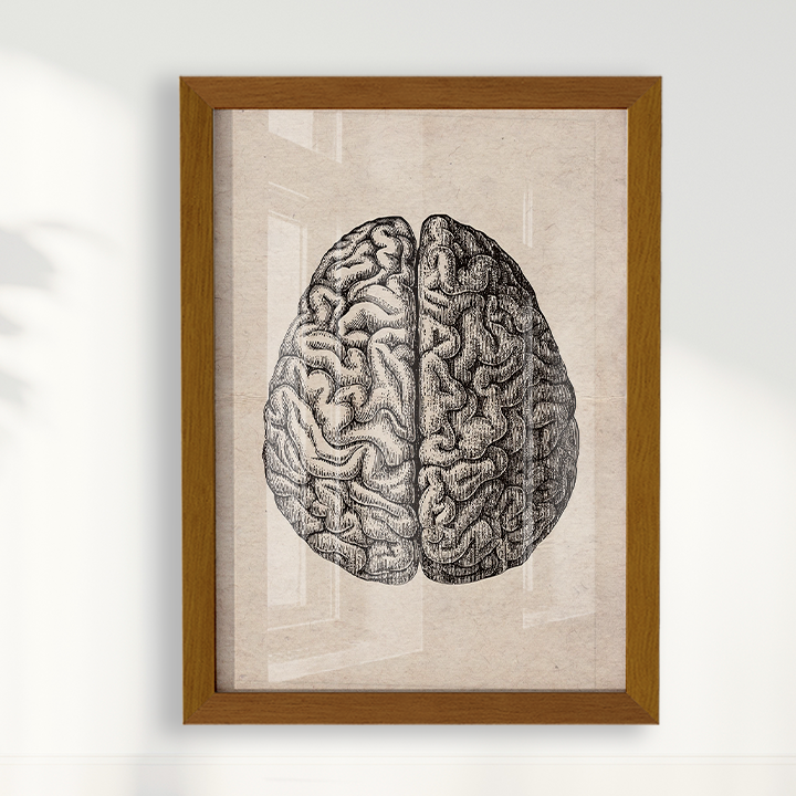 Brain Vintage