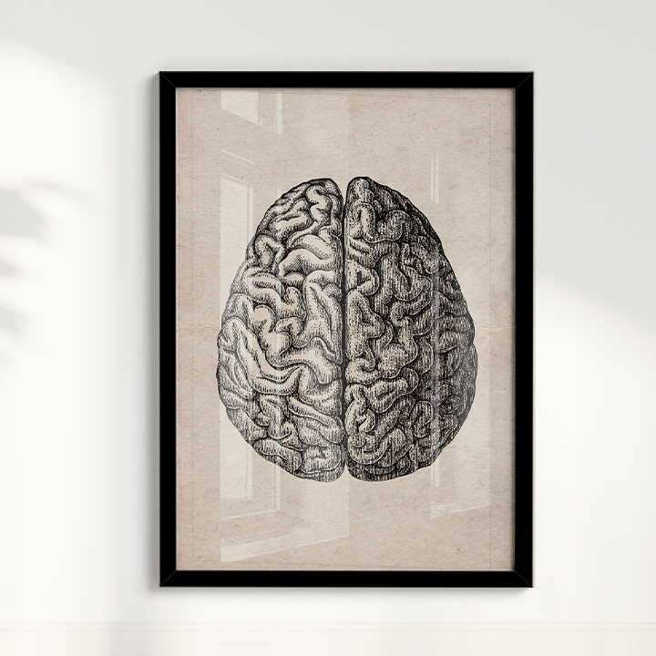 Brain Vintage